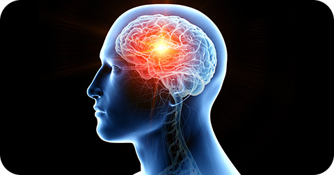 脳疲労改善サポートコース