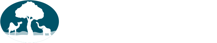 堺市北区なかもずの整骨院ならみずの鍼灸整骨院へ